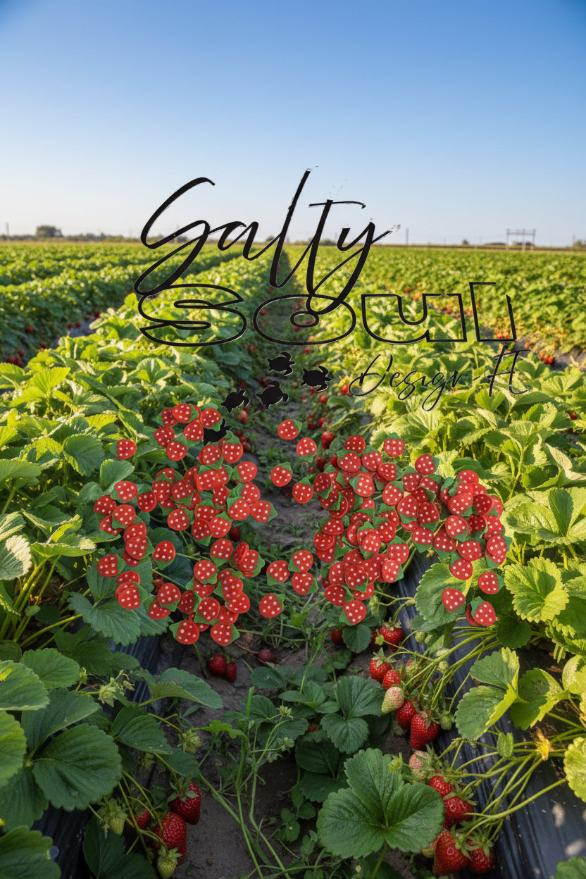 Strawberries clay 50g